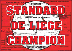 Standard Liege 17