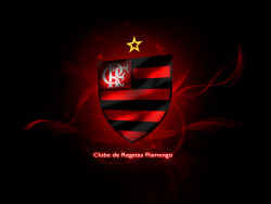 Flamengo 11