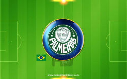 Palmeiras 1