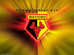 Watford 3