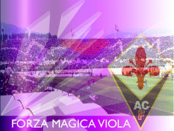 Fiorentina 6
