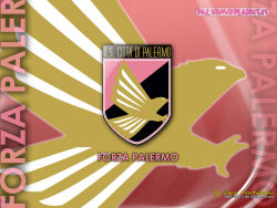 Palermo 13