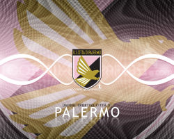Palermo 8
