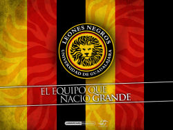 Leones Negros 1