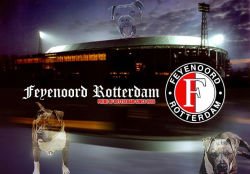 Feyenoord 4