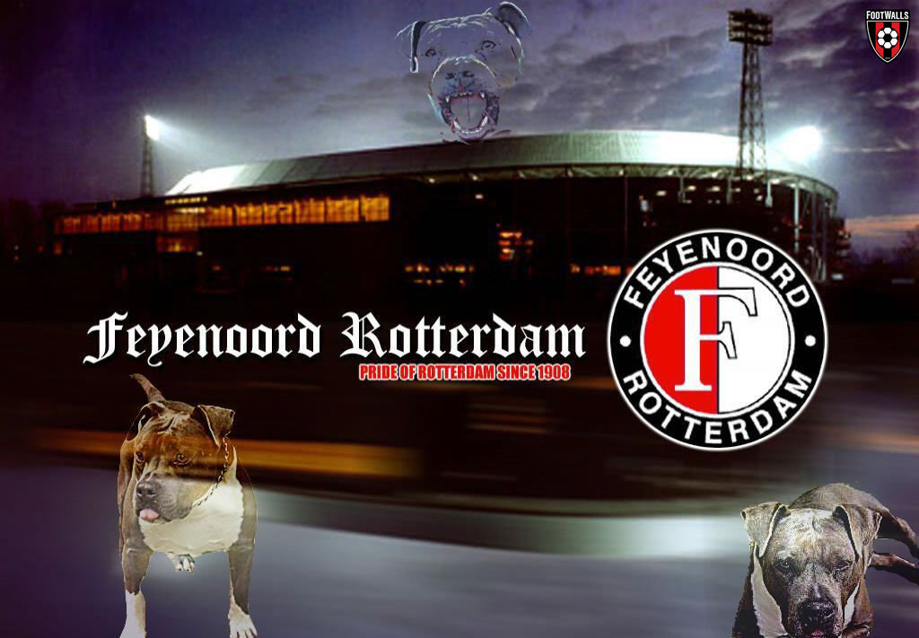 Download Show Your Support for Feyenoord! Wallpaper | Wallpapers.com