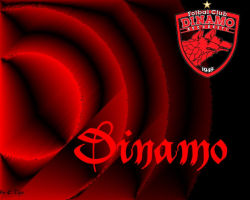 Dinamo Bucuresti 18