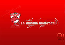 Dinamo Bucuresti 41