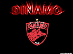 Dinamo Bucuresti 44