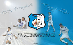 Pandurii 12