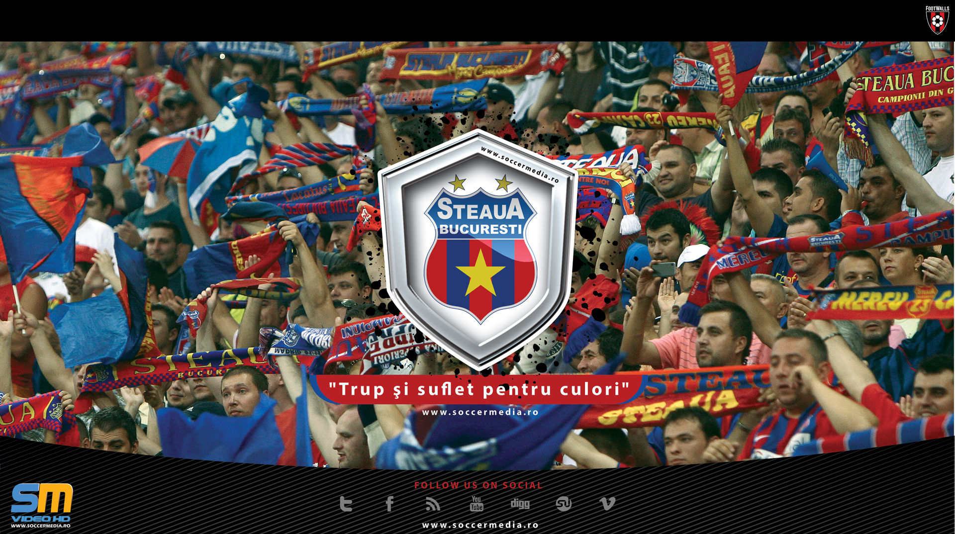 Steaua Wallpaper