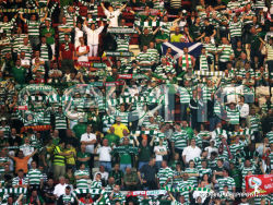 Celtic 13