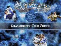 Grasshoppers 11