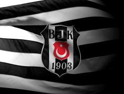 Besiktas 29