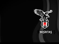 Besiktas 31