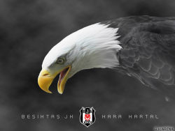 Besiktas 35