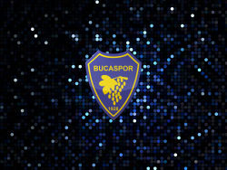Bucaspor 2