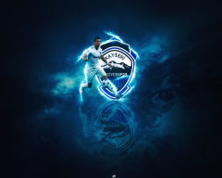 Erciyesspor 12
