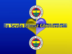 Fenerbahce 29