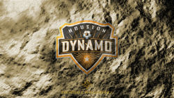 Houston Dynamo 13