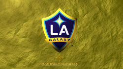 Los Angeles Galaxy 11