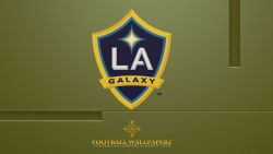 Los Angeles Galaxy 15