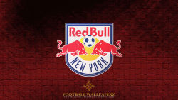 New York Red Bulls 11
