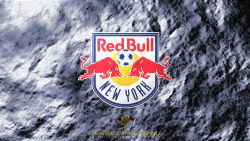 New York Red Bulls 12