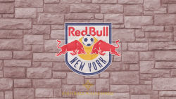 New York Red Bulls 14