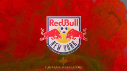 New York Red Bulls 15