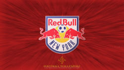 New York Red Bulls 6