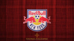 New York Red Bulls 8