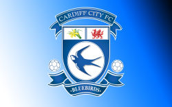 Cardiff City 6