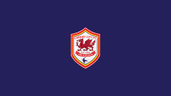 Cardiff City 7