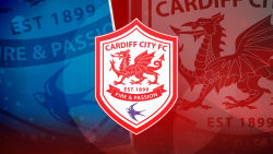 Cardiff City 9