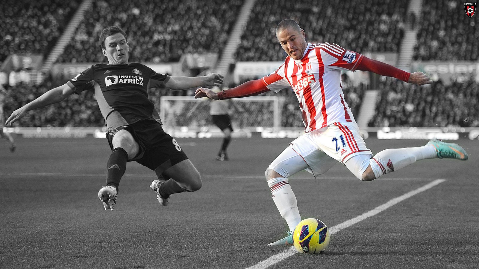 Craig Gardner Wallpaper