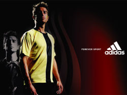 Harry Kewell 3
