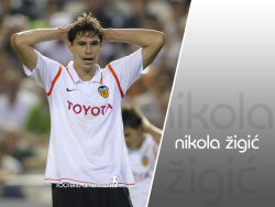 Nikola Zigic 2