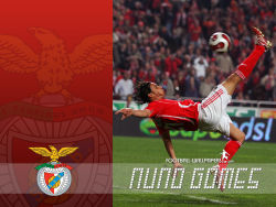 Nuno Gomes 1