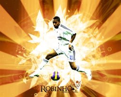 Robinho 14