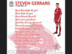 Steven Gerrard 12