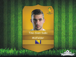 Tino Sven Susic 1
