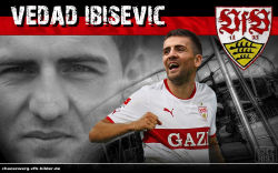 Vedad Ibisevic 1